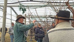 Precision Fruit Growing, Business Management Top Agenda At IFTA Conference Kickoff
