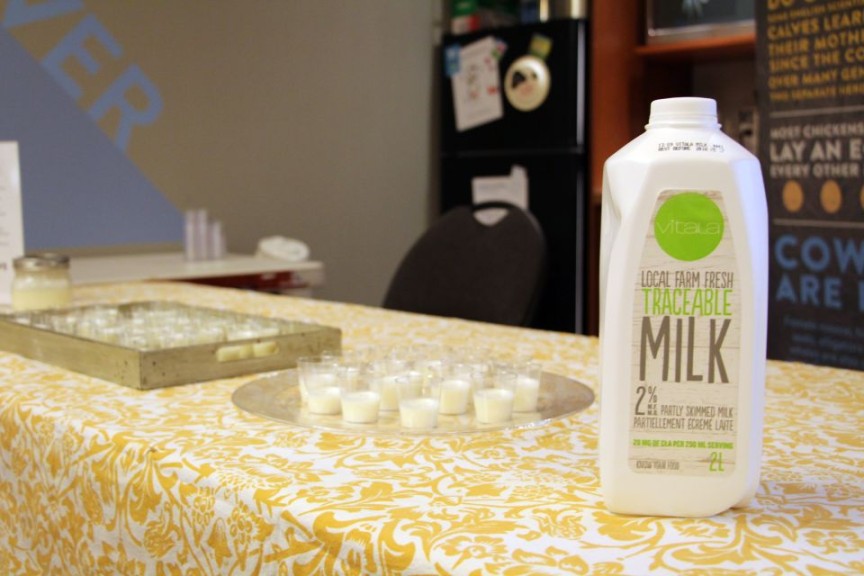 Milk tasting at EcoDairy