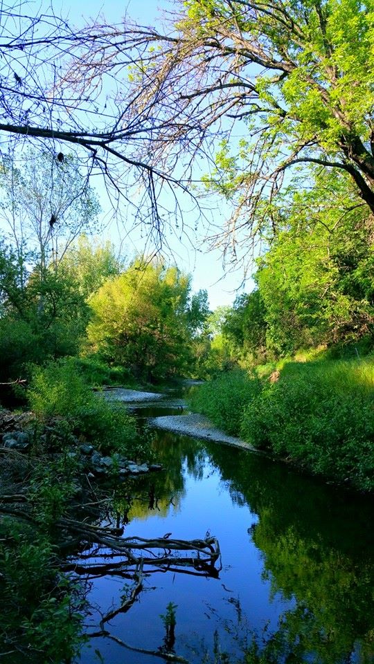 Restoring The Napa River