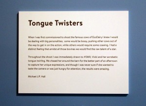 Tongue Twisters sign 