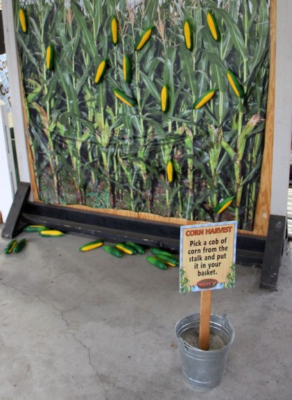 The corn harvest