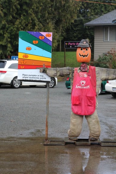 A pumpkin scale disguised as a scarecrow.