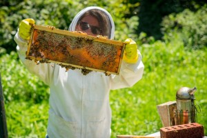 A beekeeper shows off her honey comb