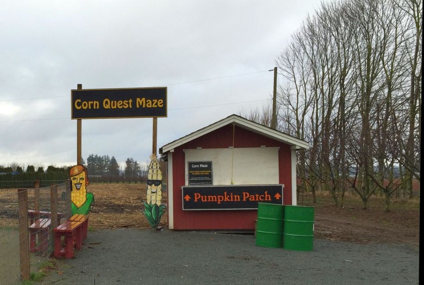 The entrance to the left is for the Corn Quest Maze and to the right for the Pumpkin Patch.