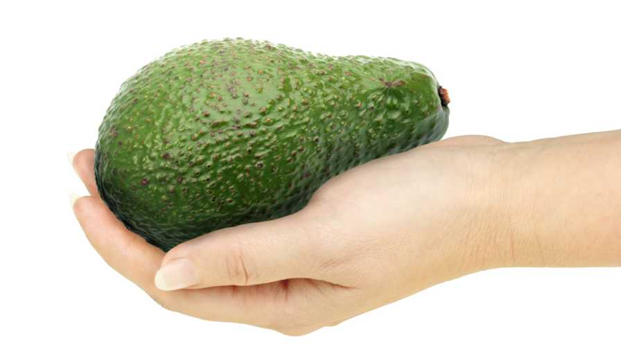 Urgent Call to Action From California Avocado Commission Growing Produce