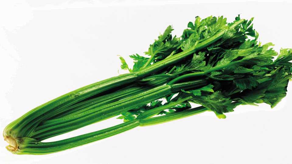 5. Celery