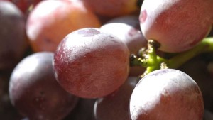 4. Grapes (Dirty)