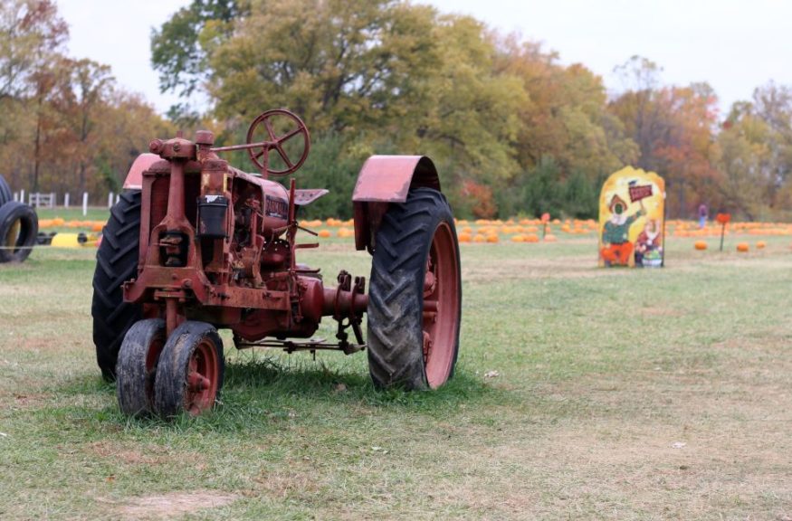 An antique tractor at Burnham Orchard