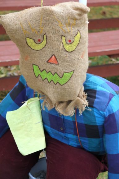For $16, the scarecrow kit includes a head, shirt, pants, straw and birth certificate(!).