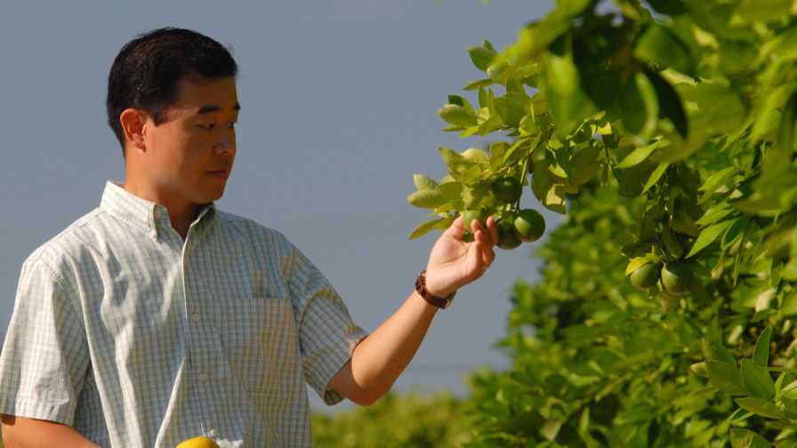 Florida Ag Scientists Look to New Crop Transformation Center as Hub of Hope - Vimarsana News