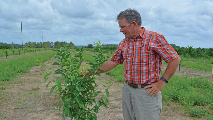 Help Needed To Honor Florida's Ag-Environmental Leaders - Vimarsana News
