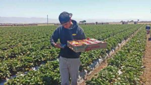 Ways Young Farmers are Gearing up to Grow Faster