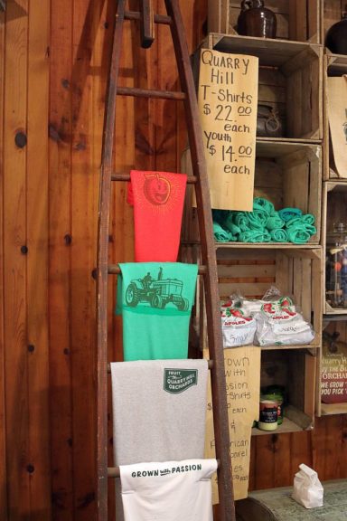 Turn Old Picking Ladders Into Displays