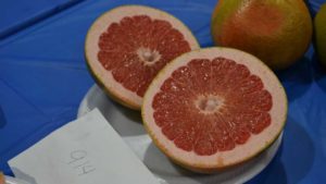 Grapefruit to be Grateful For