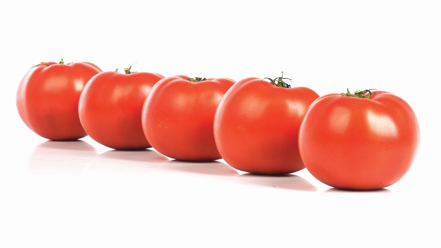 10 Tomato Varieties You Need To Know - Growing Produce