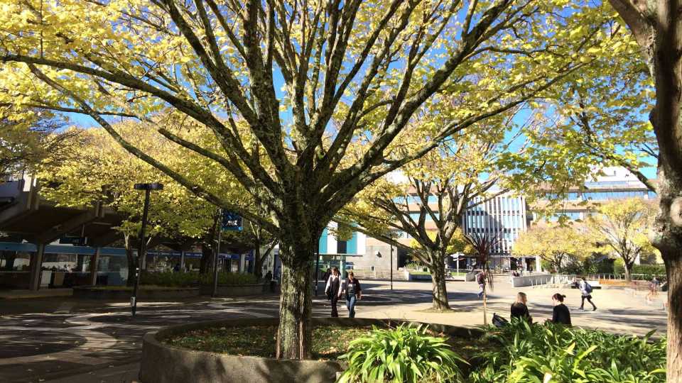 27. Massey University, New Zealand