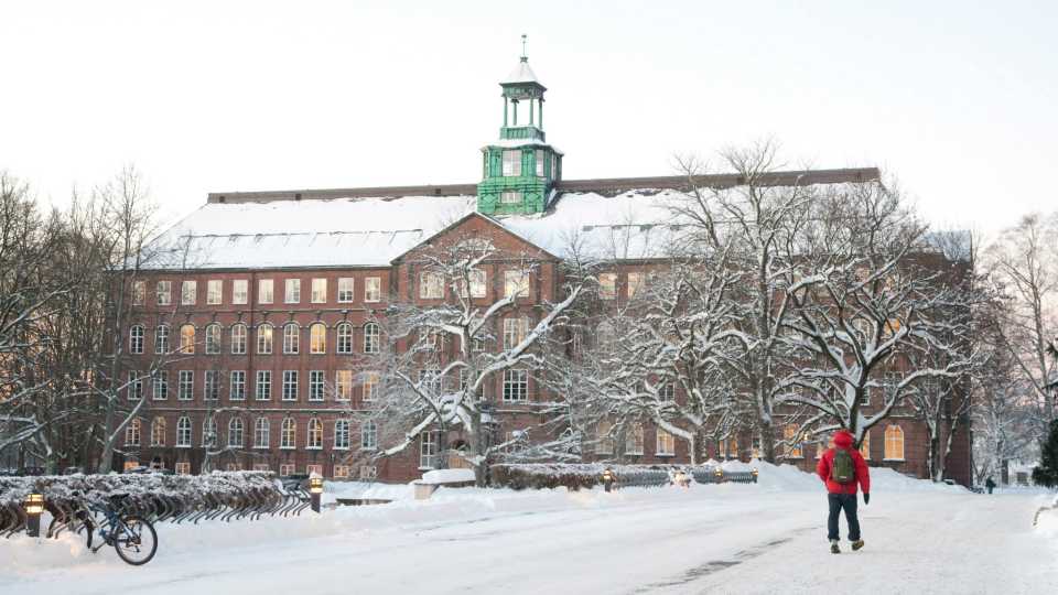 24. Norwegian University of Life Sciences 