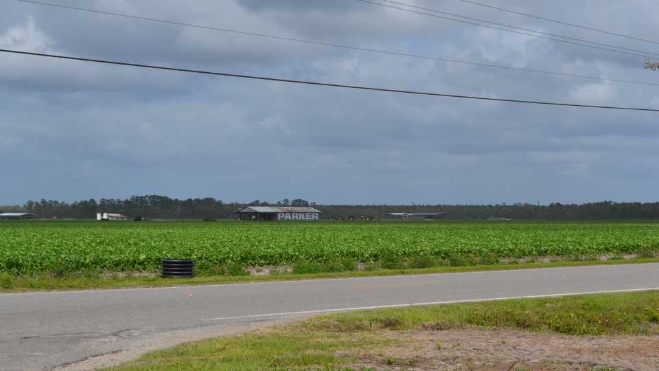 Florida's Potato Capital