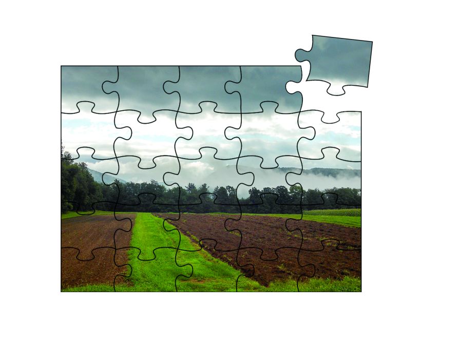 Insights on What You Need To Figure Out the Biological Crop Protection Puzzle - Vimarsana News