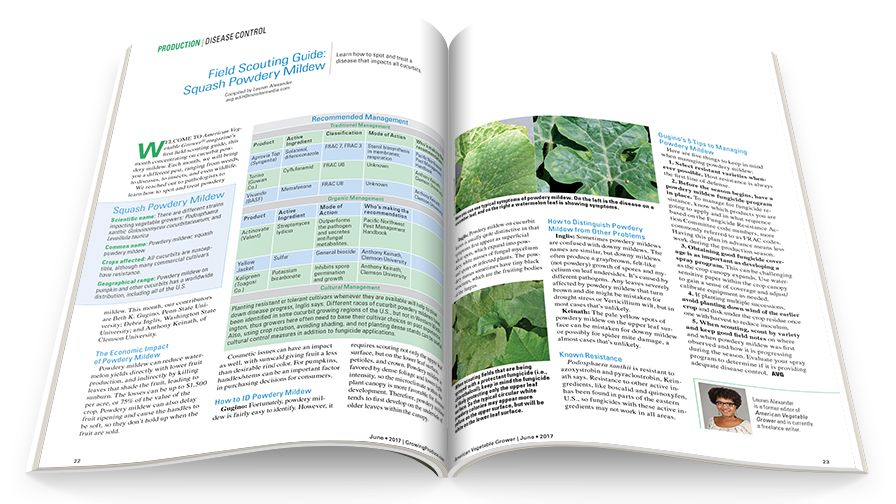 Our new field scouting guide gives you the tools you need to know to identify and treat a different pest each month. 
