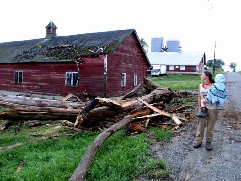 Rachel Nevitt inspects storm damage, something she says is happening more frequently.
