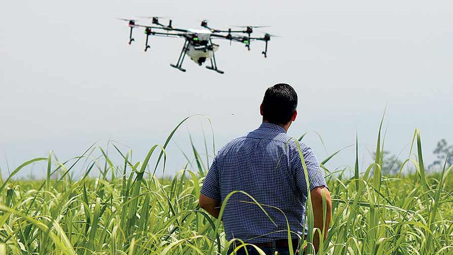 Avoid These Mistakes When Flying Drones Over Your Farm Field