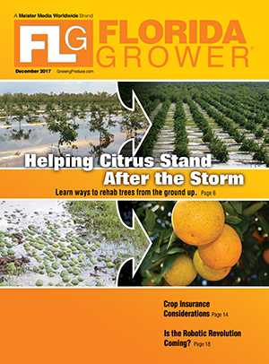 Florida Grower December 2017 cover