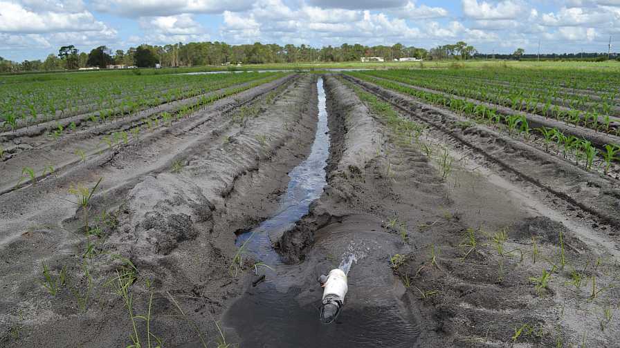 New Water Law Will Tighten BMP Rules in Florida - Growing Produce