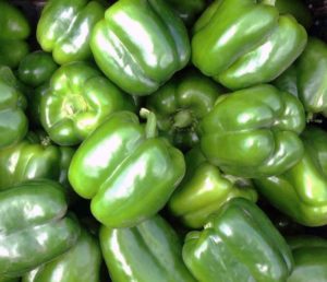 Bell Pepper: Green Flash [Clifton Seed Company]