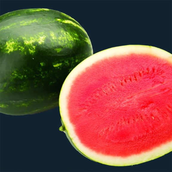 Watermelon: Red Garnet [Enza Zaden]