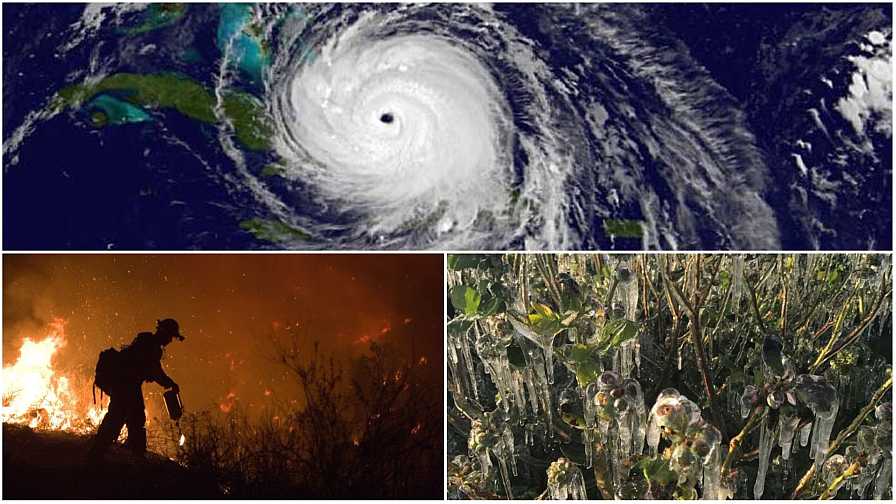 Extreme Weather Events in 2022 Took Toll on Fruit and Nut Crops - Vimarsana News
