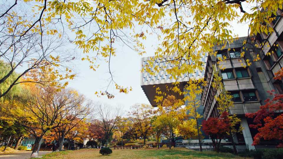 40. Seoul National University (South Korea)
