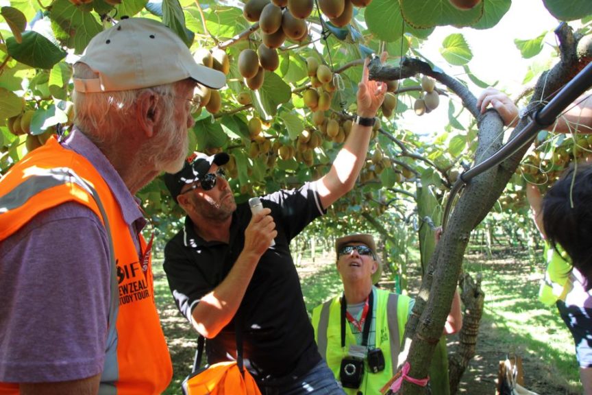 Innovation Part of New Zealand Apple Growers' DNA - Growing Produce