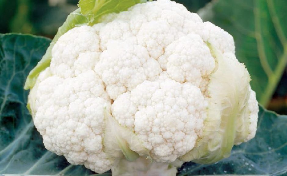 9. Cauliflower (Clean)