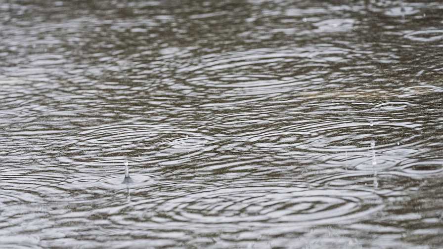 Wet Season off to a Sluggish Start for Some Parts of the Sunshine State - Vimarsana News