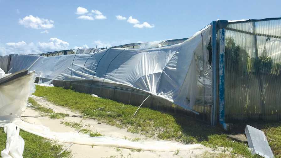 New and Improved Crop Insurance Options for Specialty and Organic Growers - Vimarsana News