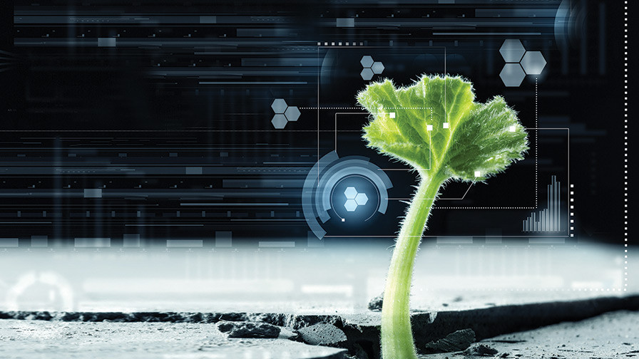 Why Sustainable Agriculture Needs Encouragement Right Now To Grow - Vimarsana News
