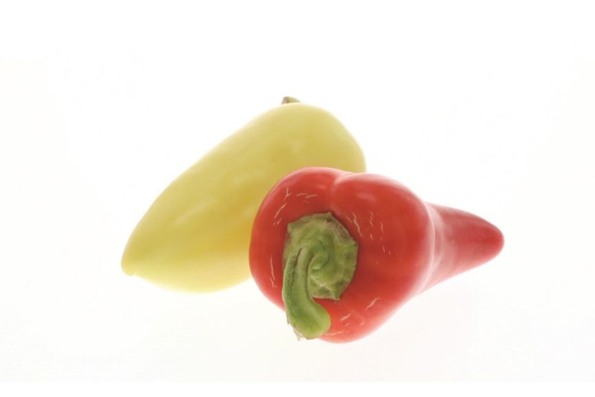Sweet Bell Pepper Seeds ~ Blackbird ~ Unique ~ Adds Color to Salads ~ 20 Seeds 