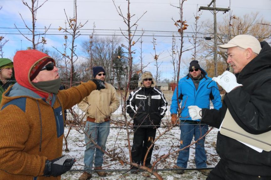 4. On-Farm Experiments Fruitful for New York Apple Growers