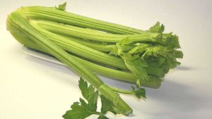 11. Celery (Dirty)