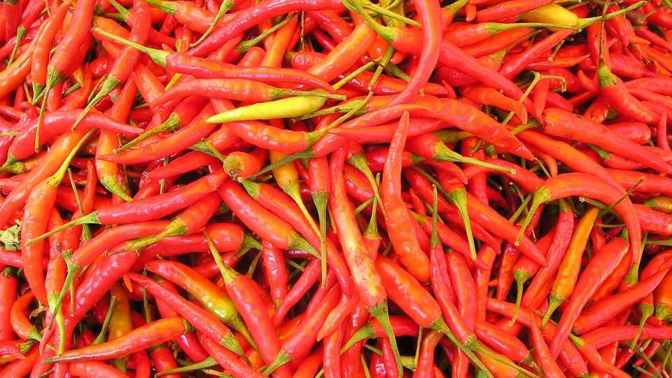 Alternative Food Crops to Consider: Hot Peppers