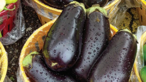 7. Eggplant (Clean)