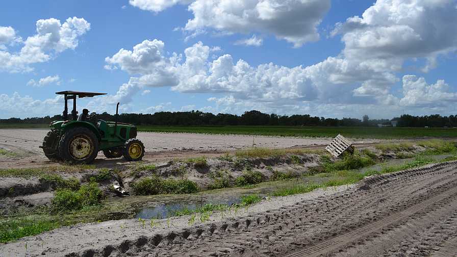 Former Defense Secretary Calls U.S. Farming a National Security Issue - Vimarsana News