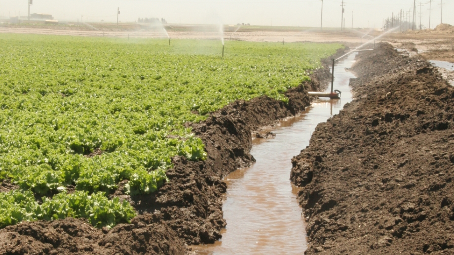 Irrigation Water Treatment