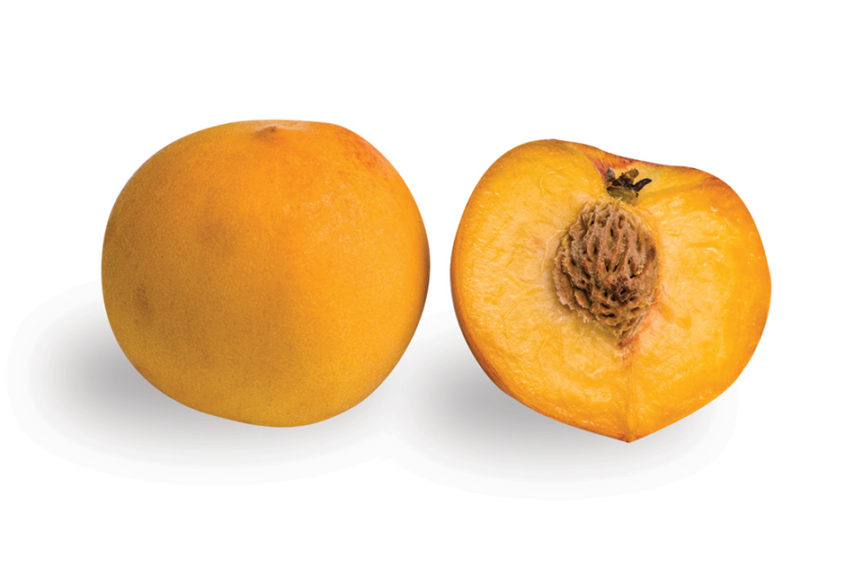 'Baby Crawford' peach