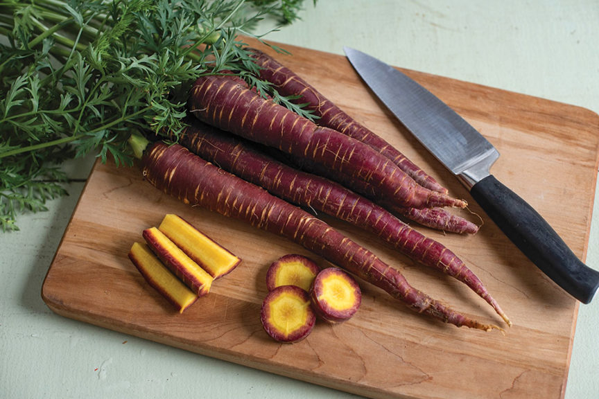 Alternative Food Crops to Consider: Purple Carrots