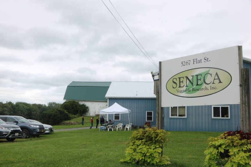 Stop #2: Seneca Vegetable Research Farm, Hall, NY