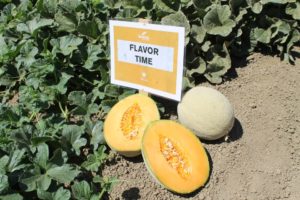 'Flavor Time' from Bayer 