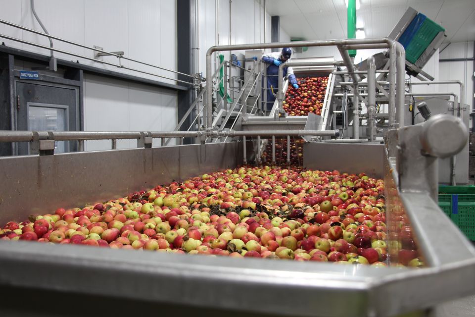 New Studies Estimate Apples for Processing Production and Harvest Costs
