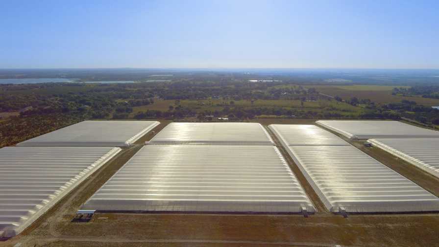 Drone shot of Dundee citrus under protective screen project